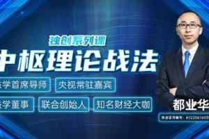 都业华·中枢理论战法视频 讲义 指标（2021全年）