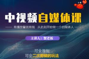 蟹老板·中视频自媒体训练课（快速赚钱）