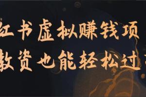 小红书教资赚钱项目，能轻松过万的虚拟资源项目