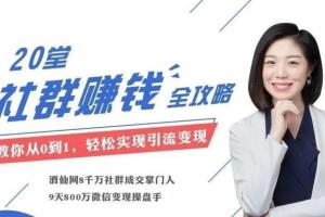 麦子老师20节社群大课：从引流到变现的社群赚钱课程