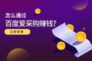 年销量200万 的百度爱采购赚钱方法（大王）