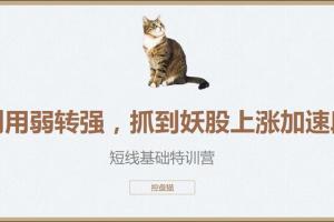 控盘猫短线基础特训营:教你抓住妖股上涨加速段！
