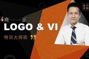 卢帅商业LOGO设计VIP特训大师班