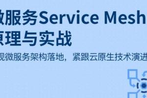 微服务Service Mesh原理与实战课程