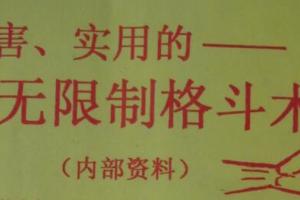 陈鹤皋武警教官格斗术视频