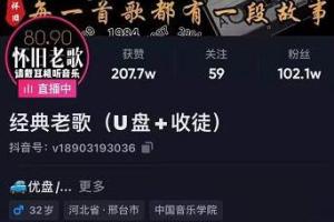 抖音音乐号 无人直播 u盘带货赚钱项目解析