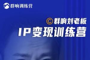 群响·刘老板：IP变现训练营第6期