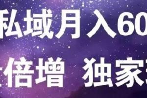 原力博客·月入6万网赚粉私域流量倍增独家玩法