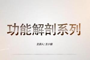 运动功能解剖全身篇（30课）
