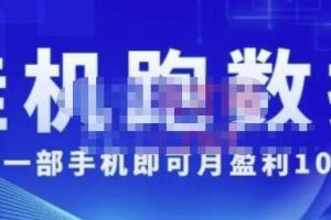 猎人电商:一部手机即可月入10万+的内部项目(价值4988元)