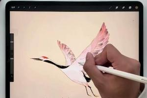 procreate绘画教程入课（带167款）