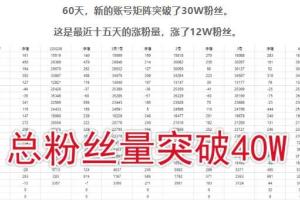 倪叶明·蓝海公众号矩阵项目训练营：0粉冷启动，公众号矩阵账号粉丝突破30w