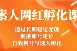 马大个抖音课程：素人网红快速孵化课
