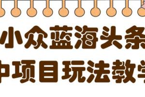 小众蓝海头条中项目赚钱教程