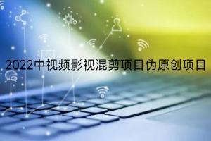 2022中视频影视伪原创混剪赚钱项目