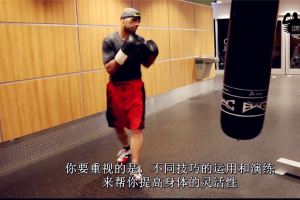光头教练拳击教学31集资源下载（新手入门拳击教学）