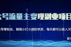 黄岛主·公众号流量主矩阵变现副业项目2.0课程