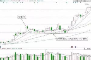 猎鹰套利战法3.0训练营:以道驭术,知行合一