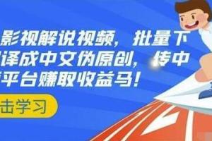 国外影视解说视频搬运赚钱项目：批量下载翻译成中文原创，传中视频平台赚取收益