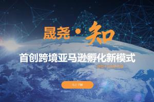 晟尧跨境电商：七天教你轻松玩赚亚马逊，适合小白学习