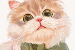 阿花水彩风男生头像ipad插画课百度云（带素材笔刷）
