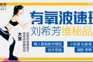 刘希芳大弟子大宝：维秘波速球大全有氧套路精品课