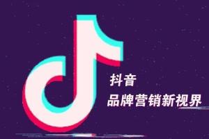 霍去病的抖音seo课：抖音SEO优化大热，红利期蕴藏无上限财富