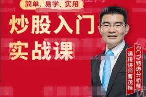 曹茂桂老师的股票课程视频（零基础）