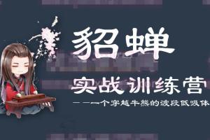 貂蝉论股·貂蝉波段训练营第7期（PDF）