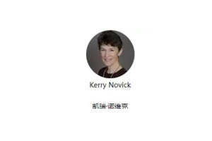 novick 治疗师理解到父母课程（临床实例解析12讲）