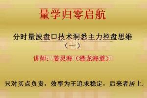 量学大讲堂·姜灵海归零启航必修课集合竞价 分时盘口