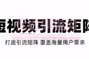 短视频SEO 二剪裂变引流矩阵打造课程