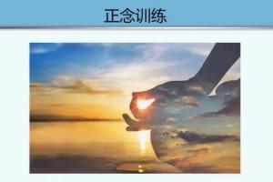 罗伯.费希尔咨询师自我成长一年正念训练课(胡婷婷配音)