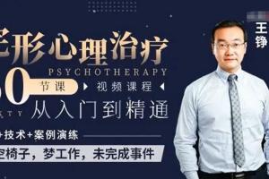 王铮入门到精通完形心理治疗讲座（60节课）