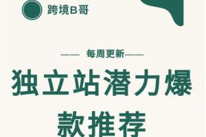跨境B哥内部电商资料，独立站潜力爆款选品推荐，测款出单率高达百分之80