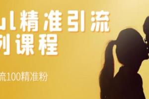 soul精准男粉引流系列课程（日产100精准粉）