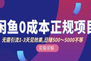 宇晨闲鱼无货源课，价值6980闲鱼无货源赚钱详细教程