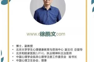 徐凯文精神分析取向心理治疗课程（初级 中级）