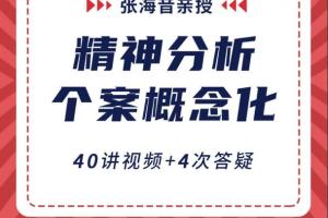 张海音·精分个案概念化课程（40讲视频 4次答疑）