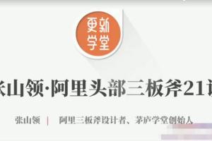 张山领阿里头部三板斧21讲（百度网盘）