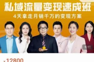 桔子会·私域流量月销千万变现速成班（价值12800元）