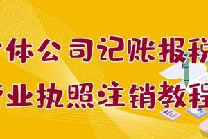 个体公司记账报税 营业执照注销零基础入门教程（送执照注册课）