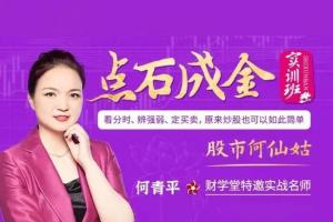 股市何仙姑何青平点石成金实训培训课