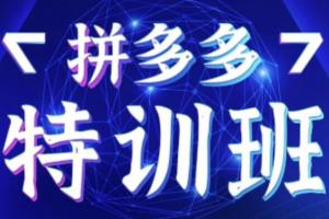 星雪教育拼多多课程：基础班 进阶班 突破班（价值3580元）