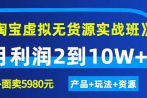 程哥淘宝虚拟实战班第四期：月利润2到10W （产品 玩法 资源)