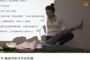 瑜老师·张美玲：内脏筋膜实操手法精讲系统课程