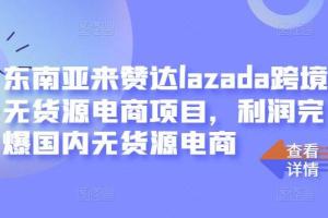 来赞达lazada跨境无货源电商项目教程