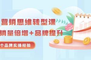 无界营销思维转型课：1000个品牌操盘经验传授（20节视频）