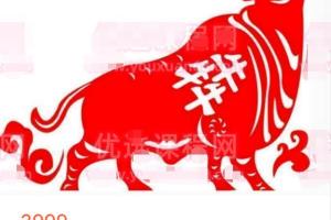 山中策市6月训练营（百度网盘）