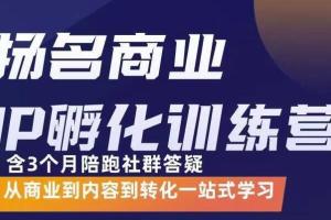 杨名商业IP孵化训练营(价值5980元)